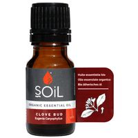 Soil Clove Essential Oil